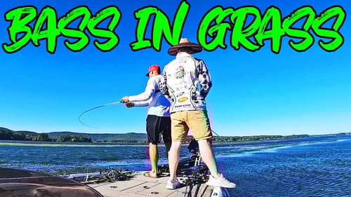 Fishing GRASS FOR BIG BASS On Lake Guntersville!!