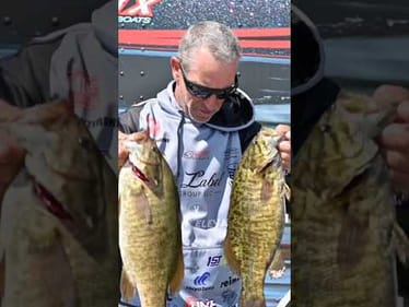 RECAP Day 1 MLF Invitationals Lake Champlain #short #fishing #lakechamplain #smallmouthbass