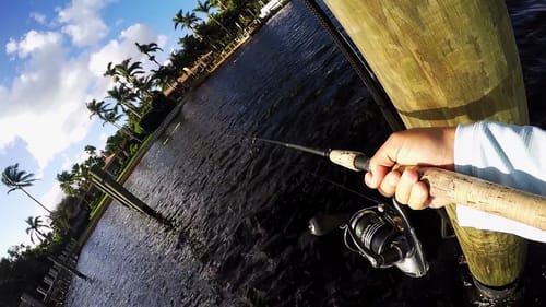 Big Fish Drags Me Through The Docks