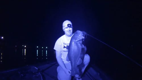 Best Baits and Colors for Night Fishing: Infrared Video!!