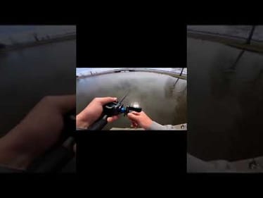 BIG BASS from underneath Storm Drain!! #shorts