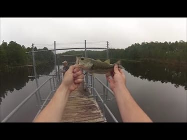 A few dinks