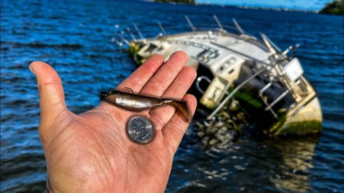 Micro Lure Catches BIG Fish