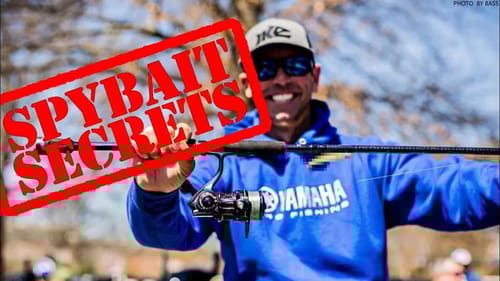 I HAVE to EAT That! Bass Spybait & Spinbait Fishing Secrets