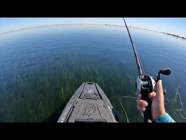 84 fish day in a legendary spot