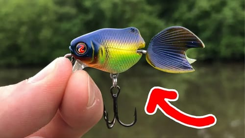 Tiny GOLDFISH Crankbait = BIG Bass!!! (I Thought I was SNAGGED!)