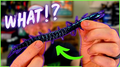What IS THAT?? INSANE Small Bait Company Unboxing!