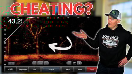Is LIVESCOPE Cheating Or A Useful Tool?