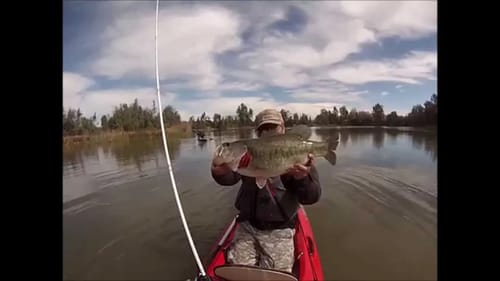Sycamore Island Prespawn Bass Fishing 2015 (7lb Bass)