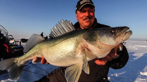 Ice Fishing for Monster Walleye Using Rattling Lipless Crankbaits