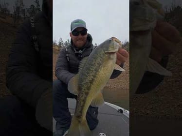 Kicking it Old School 🎣 #bassunion #bassunionjigs #woodbrotherscarpet