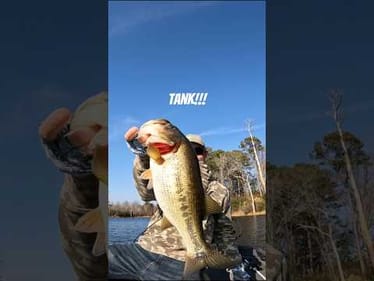 3rd bass of 2026 was a tank!!! #fishing