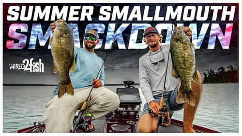 Drop Shot and Ned Rig Tips for Smallmouth Bass