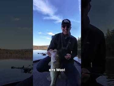 Fall swim jig bite never gets old #bassfishingtips