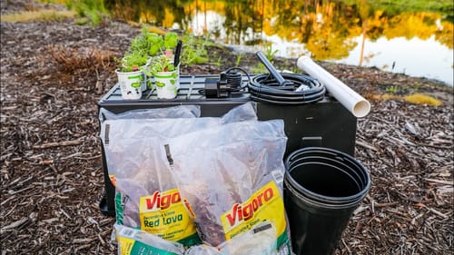 Building a Natural Filter For My Pond (D.I.Y.)