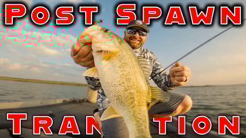 Post Spawn Transition – Shakey Head Worms And Crankbaits!