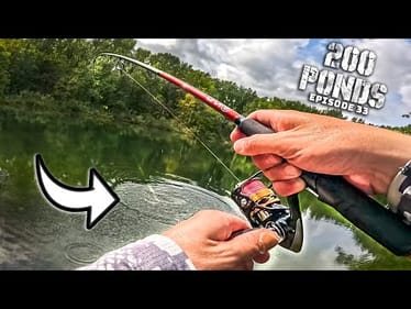 I Hooked A Pond GIANT! (Hidden In The Woods) - "200 Ponds" Ep. 33