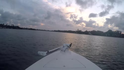 Tarpon, Snook, Barracuda and Jack