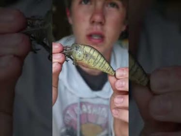 Brining and old bass lure back to life! (Satisfying) #shorts