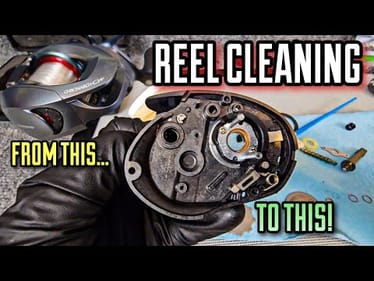 ASMR Fishing Reel Cleaning! (Complete Teardown of Shimano Chronarch Ci4+)