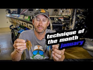 Technique of the Month I January I How Slow Is Slow Enough?