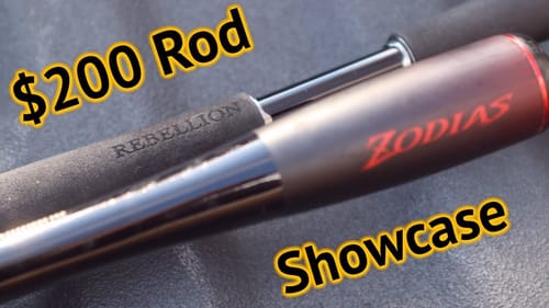 Daiwa Rebellion vs. Shimano Zodias! ($200 Rod Comparison)