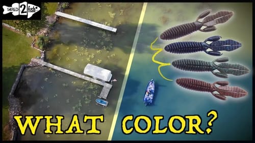 Choose Lures for Flipping Docks Based on Water Color