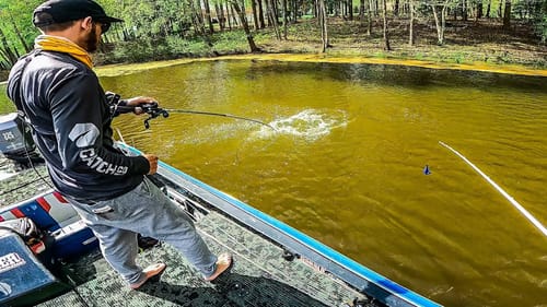 CHASING After LAKE CHESDIN Giants With @SBFishing || We Caught Them on EVERYTHING!!!