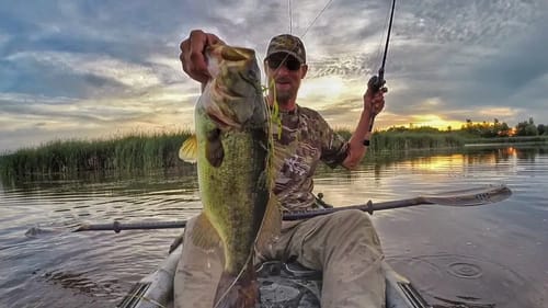 Frog Fishing Largemouth Bass