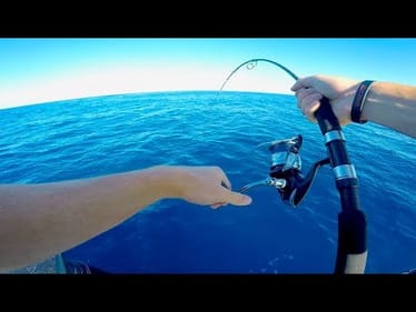 I'm HOOKED Into Something BIG! -- (AFRICA D.3)