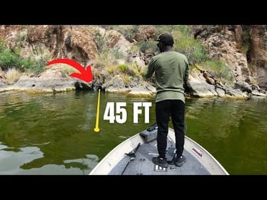SKIP Your Swimbait Where No One Else Can! (Complete Skip Cast Tutorial)