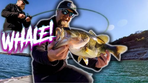 NEW SWIMBAIT CATCHES TOADS! 6th Sense Whale 4.5 Swimbait IN ACTION! Flush 5.2 Full Review
