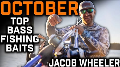 Top 5 Baits for October 2022 Fall Bass Fishing "Topwater Month"