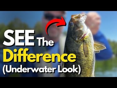SEE What a DIFFERENCE 5 Ft Can Make (Actual Underwater Footage)