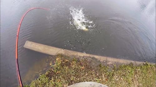 HUGE FISH caught on a LUNCH BREAK!!