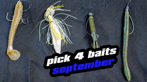 Pick 4 | Baits For September