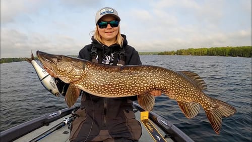 Glidebaits for Big Northern Pike! + New Engine Talk