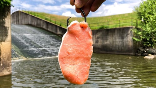 The GIANTS of the SPILLWAY!!! (Big Fish Live Here!)