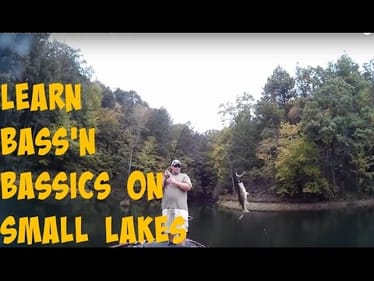 How to Catch Early Fall Bass on a Small Lake