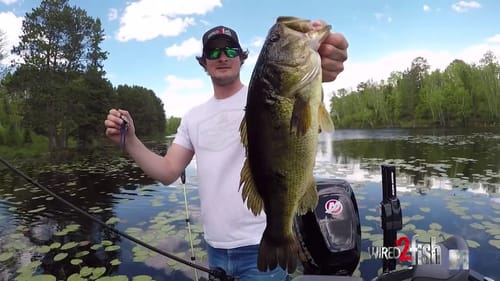 Hollow Body Frog Fishing Lily Pads for Bass