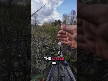 Trick to Catching Bass in the Thickest Cover