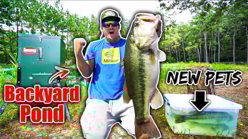 Stocking GIANT Bass into My Backyard Pond!! (New Pets!)