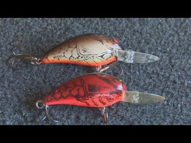 Late Fall Crankbaits | Bass Fishing