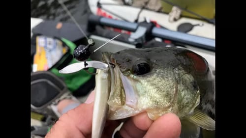 Ike In The Shop: Custom Built Spybait