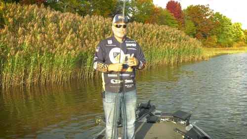 Fall Bass Fishing - Catch Fish in Autumn Teaser