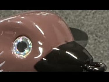 They’ve Tried To Keep This Lure A Secret Since Last Spring…