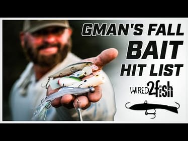 Swindle's Fall Bass Bait Rotation for Shad Fisheries