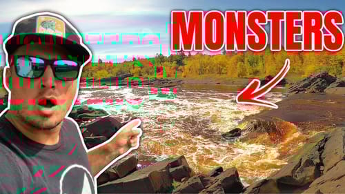 I CAN'T BELIEVE what's Swimming in this RAGING River!!
