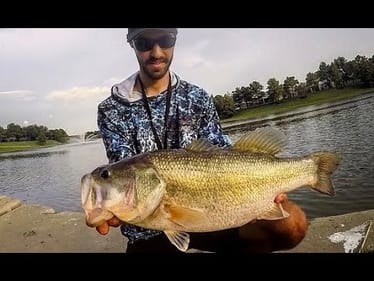Fishing CULVERTS and DRAINS for HUGE BASS!