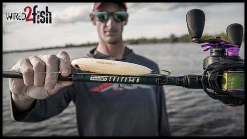 4 Gear Tips for Better Topwater Bass Fishing